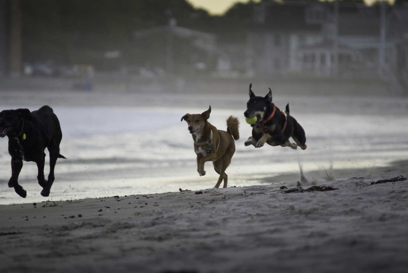 Beach runnin'